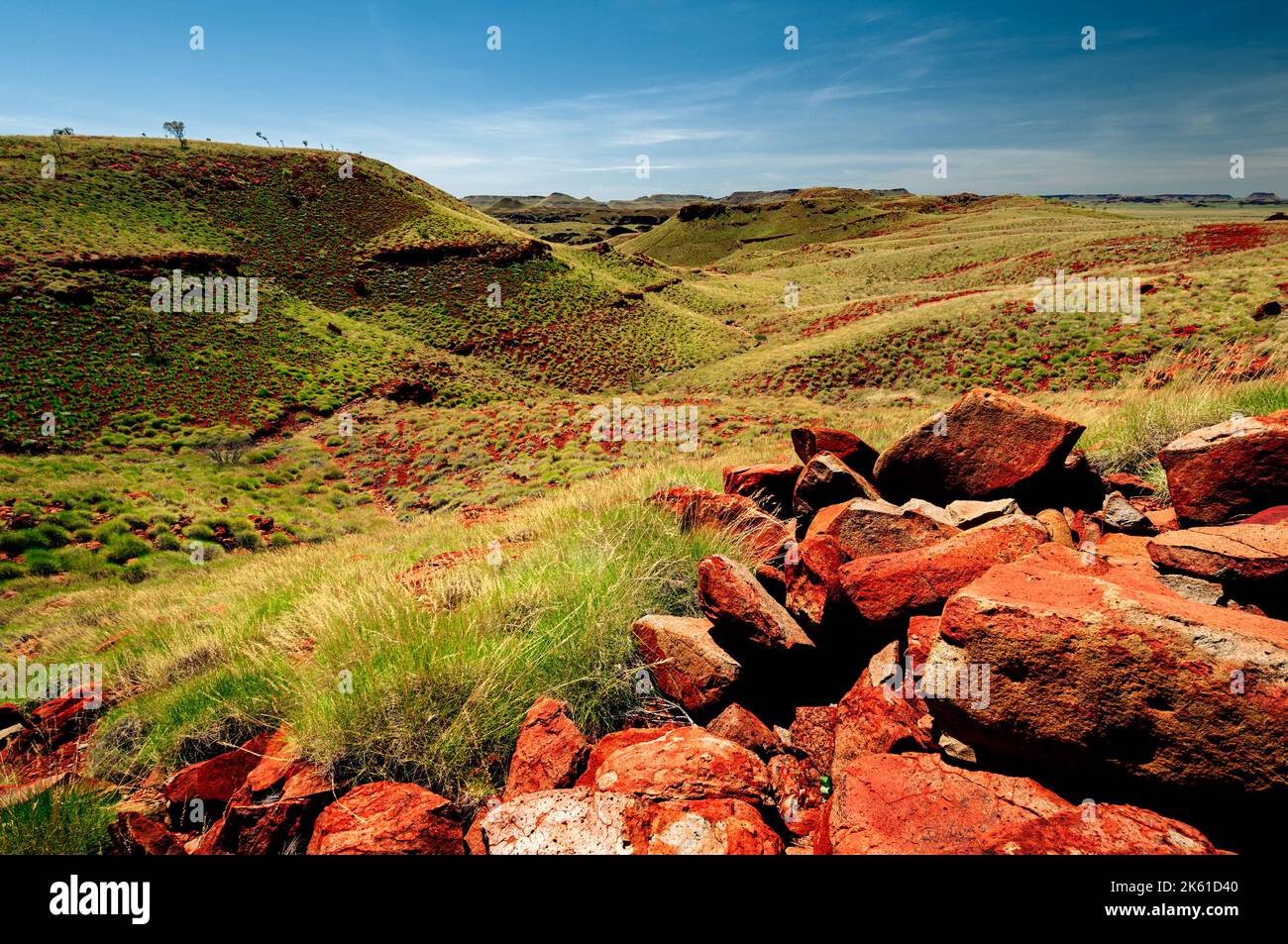 Spinifex Hills bei Chichester Range im Millstream Chichester National Park. Stockfoto