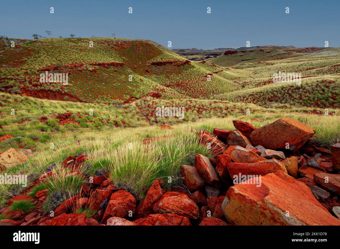 Spinifex Hills bei Chichester Range im Millstream Chichester National Park. Stockfoto