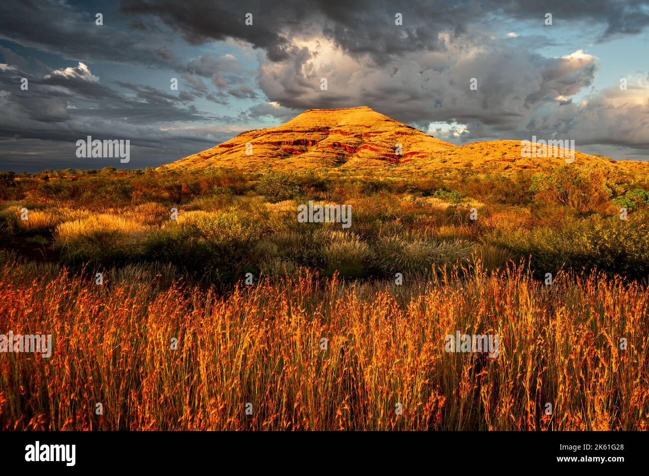 Frühes Licht auf einem Berg in der Hamersley Range. Stockfoto
