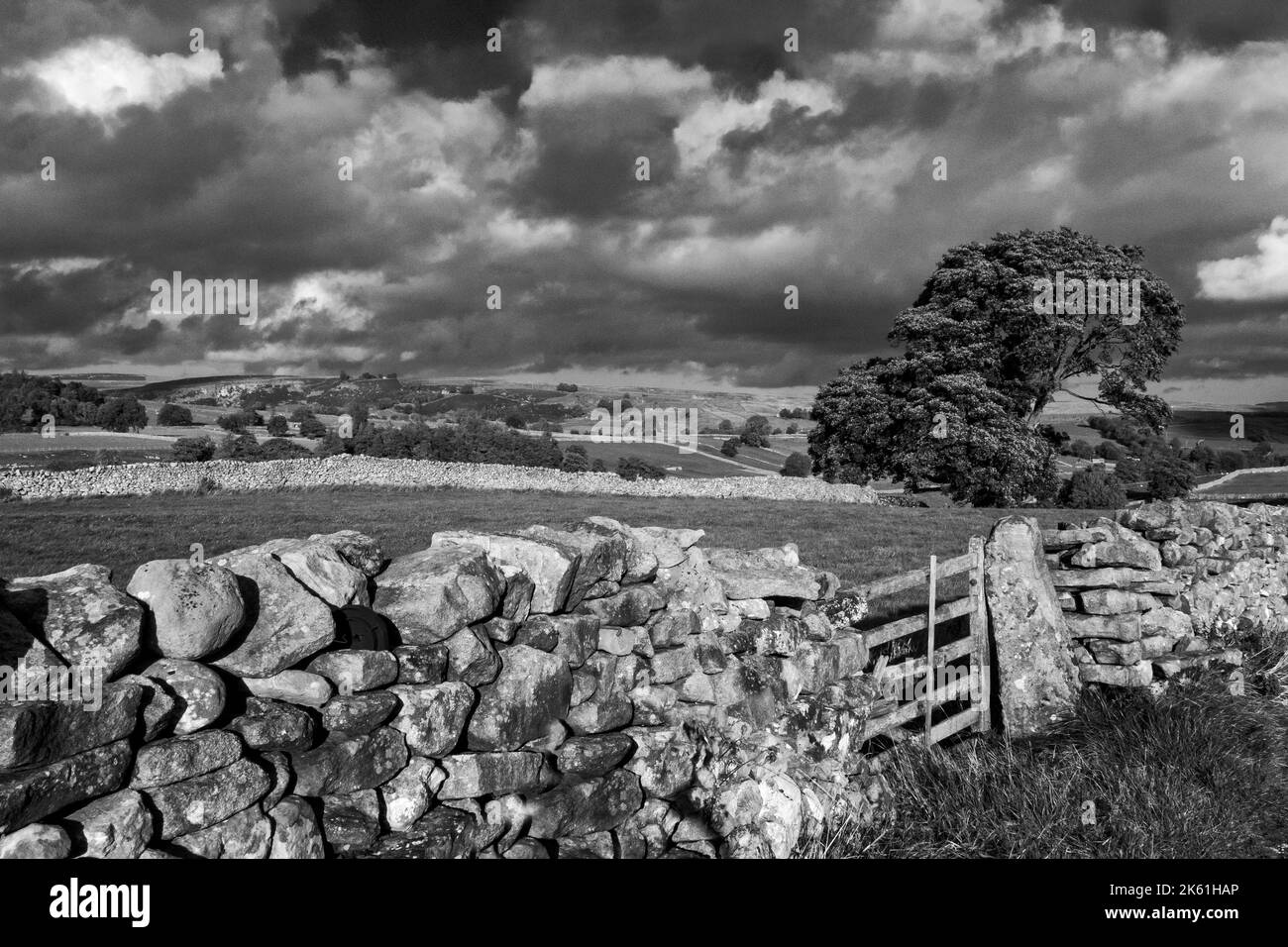 Yorshire Dales National Park in der Nähe von Kettlewell North Yorkshire UK Stockfoto