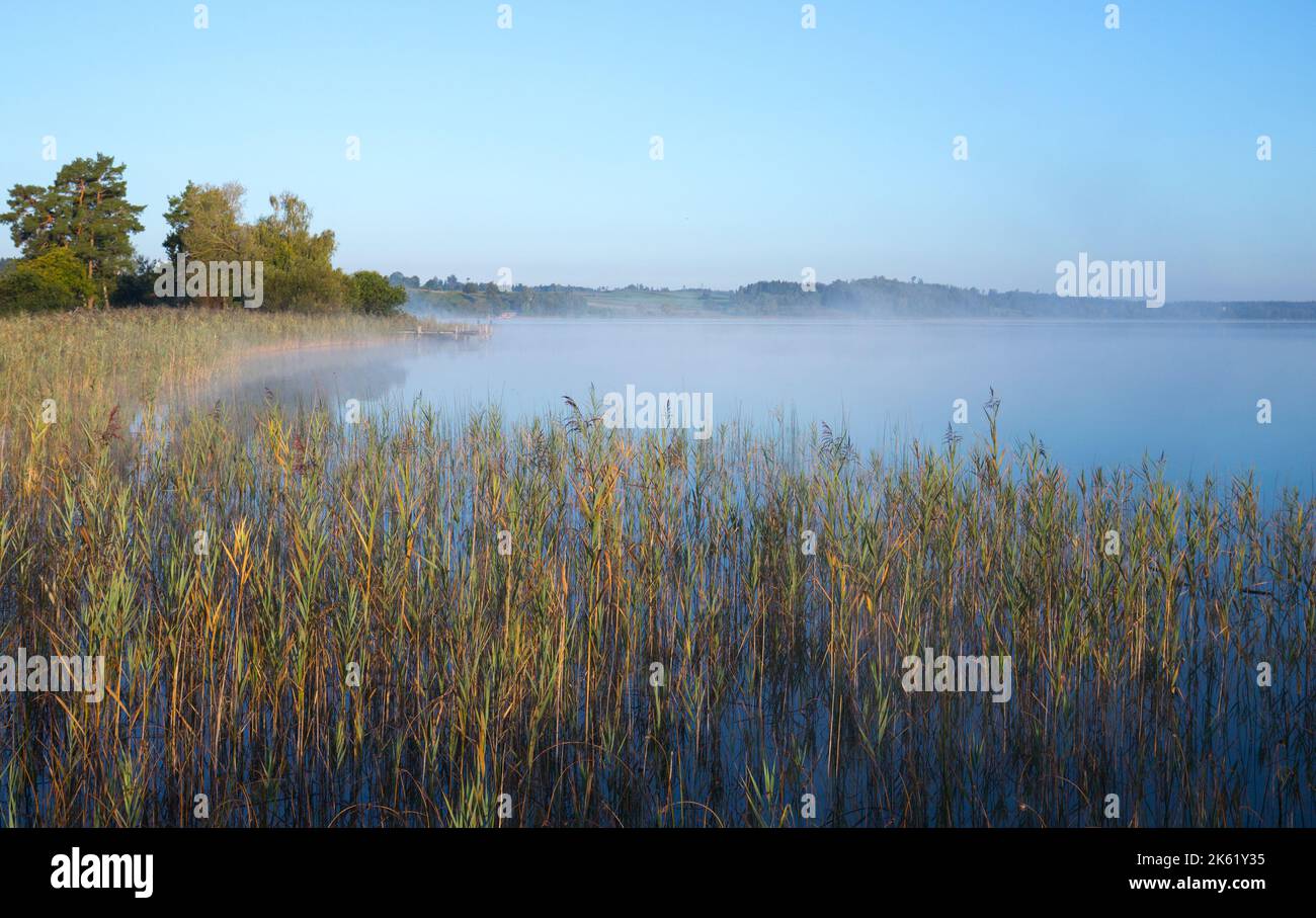 Morgenstimmung am Pfäffikersee in der Schweiz bei Sonnenaufgang und klarem Wetter bei warmem Licht. Stockfoto