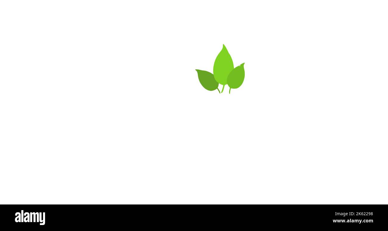 Darstellung von Kräutern, isoliert vor weißem Hintergrund, Kopierbereich Stockfoto