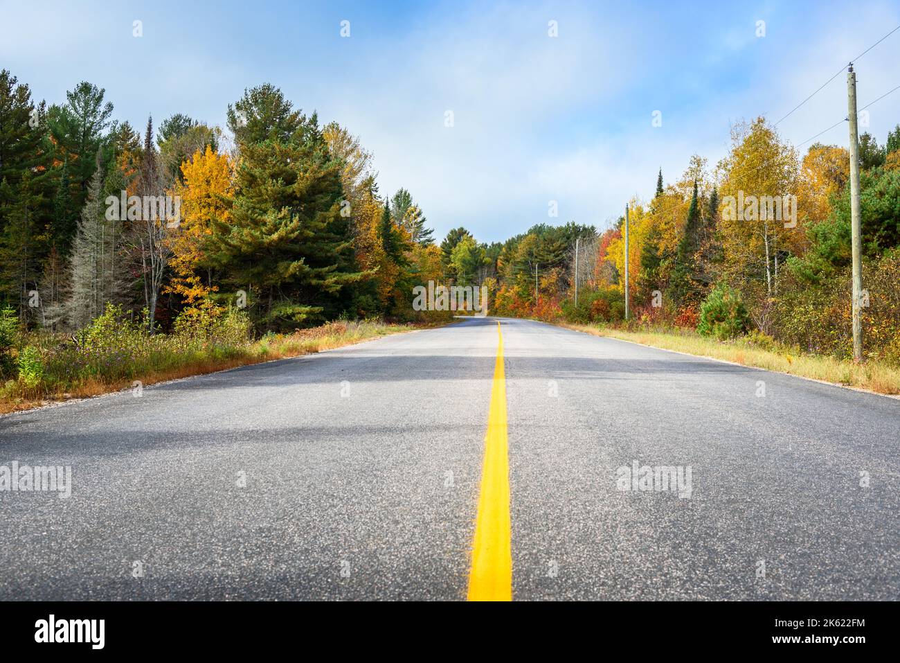Menschenleerer Abschnitt einer Waldstraße an einem sonnigen Herbsttag. Wunderschöne Herbstfarben. Stockfoto