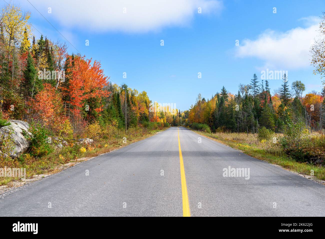 Leere Straße durch einen Wald auf dem Höhepunkt der Herbstfarben an einem klaren Morgen Stockfoto