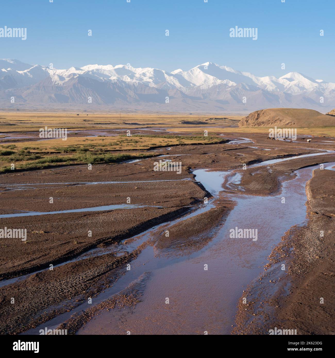 Morgens Landschaftsansicht des braunroten Kyzylsu Flusses mit schneebedeckter Trans Alay Bergkette und Lenin Peak im Hintergrund, Süd-Kirgisistan Stockfoto