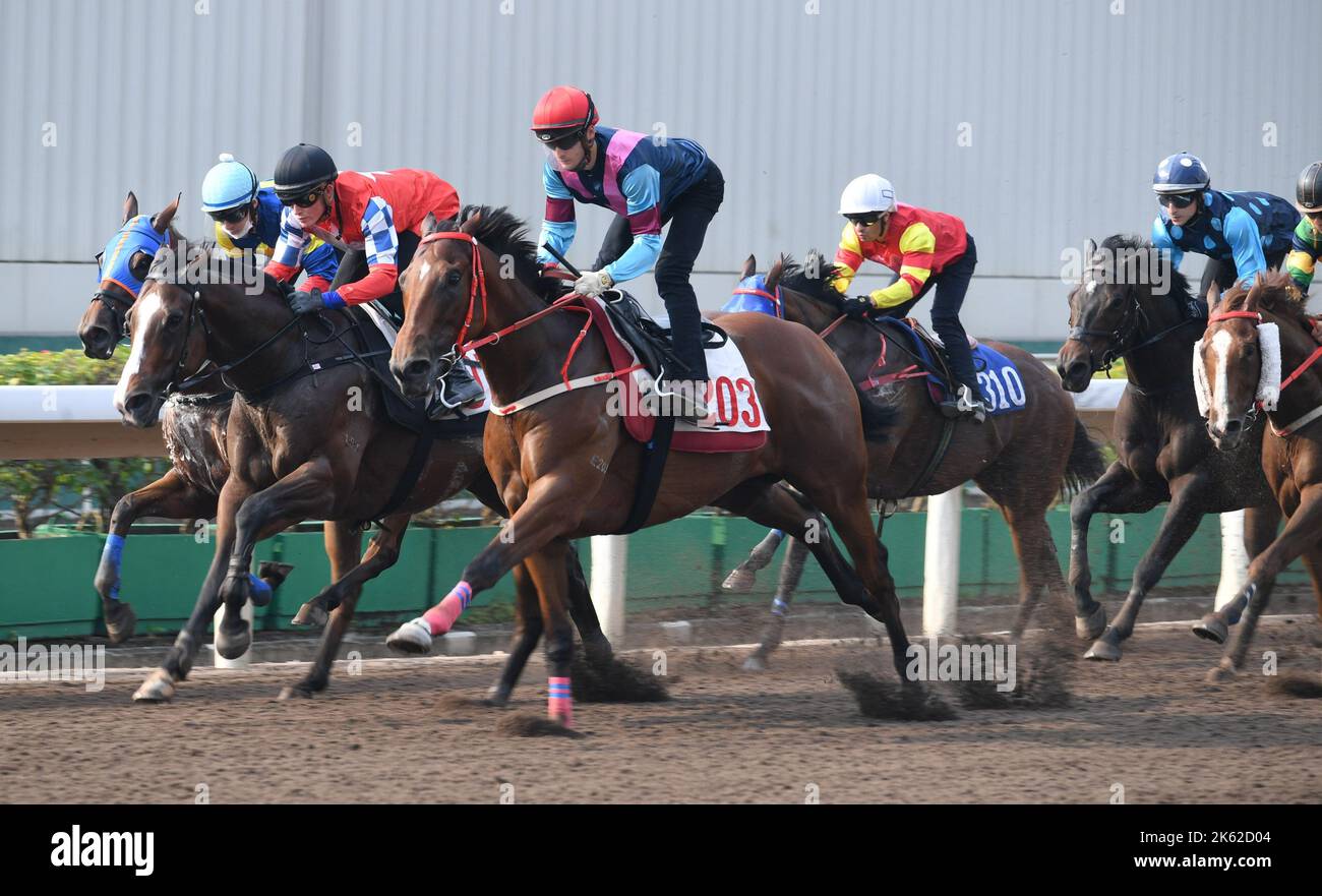 MAJESTIC STAR (203), von Harry Bentley geritten, gewann die Barriere-Testserie 1 über 1200Meters (All Weather Track) auf Sha Tin. 16SEP22 SCMP/Kenneth Chan. Stockfoto