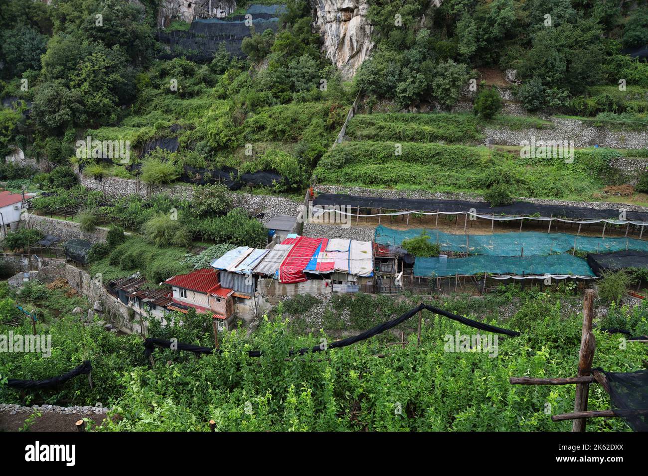 Blick auf die alten Zitronenhaine in Atrani, Italien Stockfoto