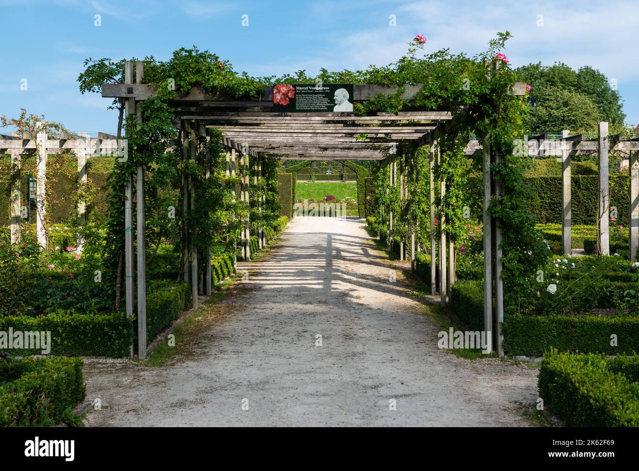 Sint-Pieters-Leeuw, Flämische Brabant Region - Belgien - 07 20 2021 die Rosengärten von Coloma Stockfoto