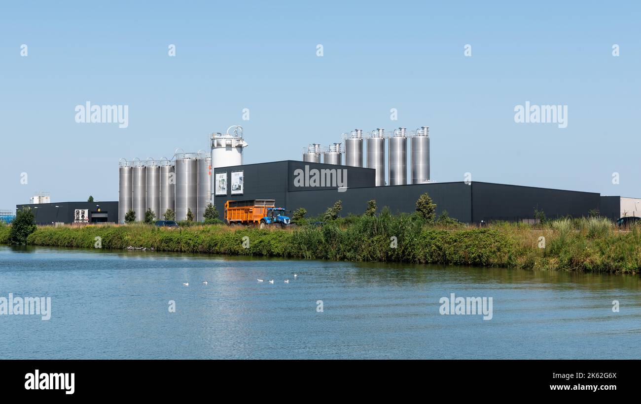 Oostrozebeke, Region Ostflandern, Belgien - 07 18 2021 Pflanzen und Idustrien entlang des Kanals Stockfoto