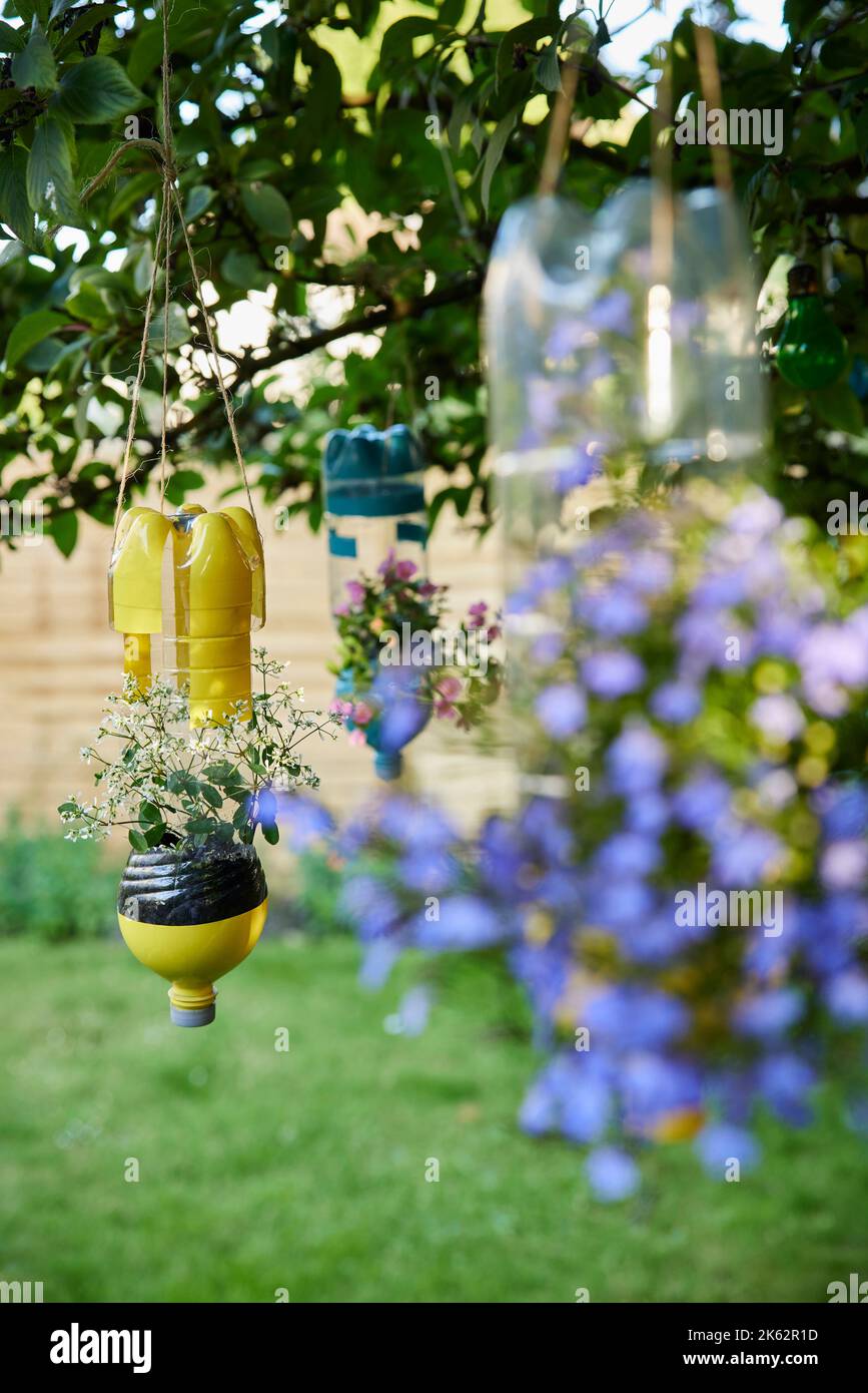 Nachhaltige Pflanzenhalter Aus Wiederverwerteten Recycelten Plastikflaschen Im Garten Stockfoto
