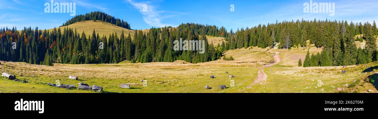 Idyllische Landschaft in den karpaten. Grüne Wiesen vor einem Nadelwald. Bewaldeter Gipfel in der Ferne unter blauem Himmel mit Zirrusklo Stockfoto