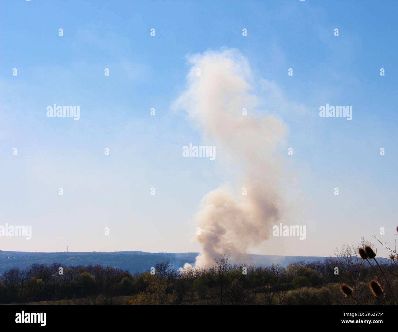 Großer Waldbrand im ländlichen Teil des Landes Stockfoto