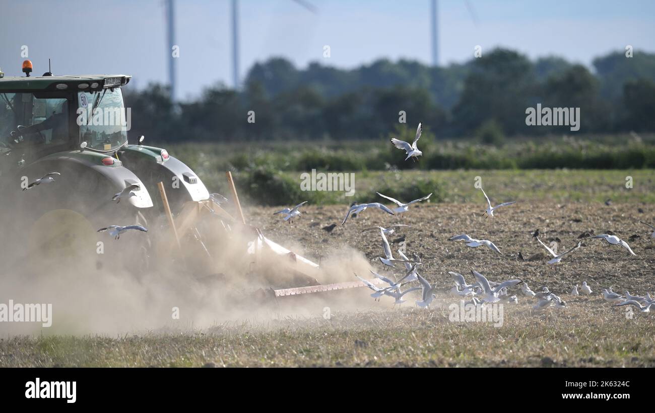 Nur Staub... / Nur Staub... Stockfoto