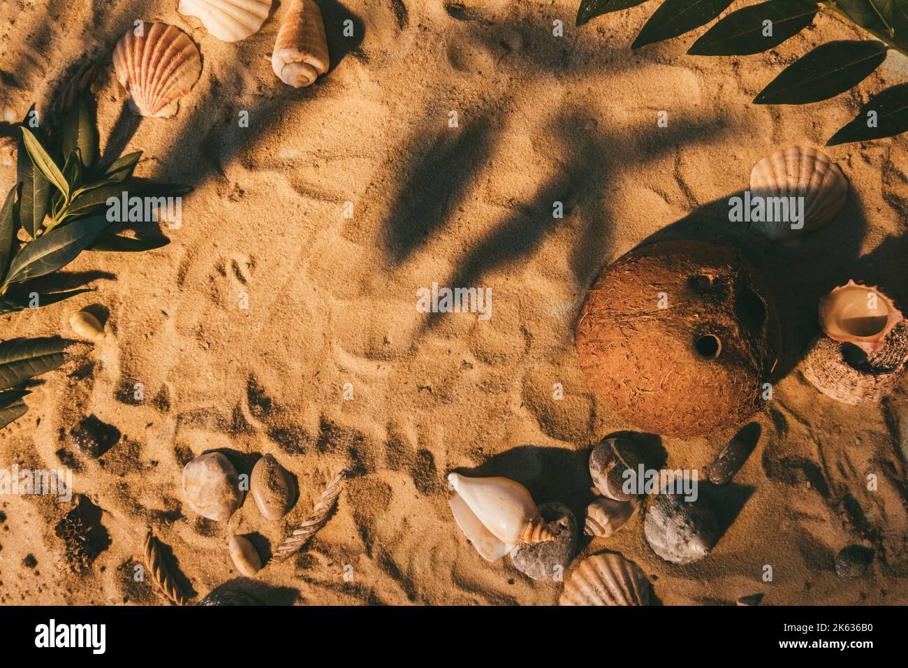 Tropischer Hintergrund Sommer Paradies Kokosnusssand Stockfoto