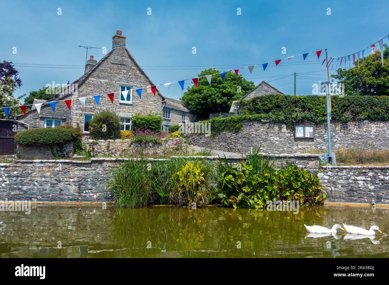 Enten auf dem Dorfteich in Worth Matravers auf der Isle of Purbeck, Dorset, England, Großbritannien Stockfoto