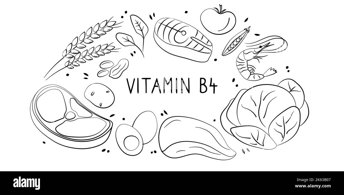 Vitamin B4 Cholin. Gruppen von gesunden Lebensmitteln, die Vitamine enthalten. Set aus Obst, Gemüse, Fleisch, Fisch und Milchprodukten. Stock Vektor