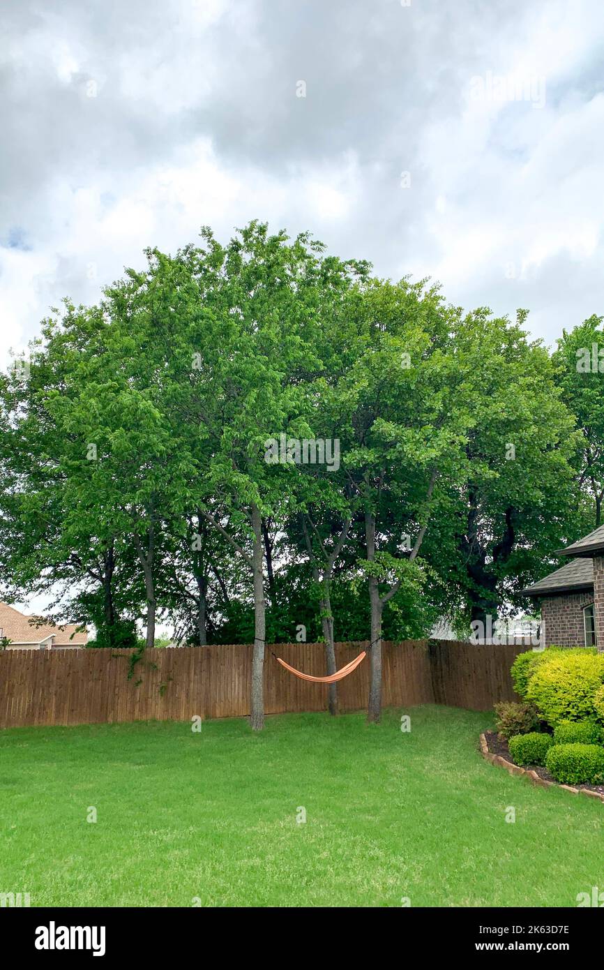 Außenaufnahme des Sommergartens mit hängender Hängematte zur Entspannung, Hängematte unter Bäumen im Hinterhof mit dem Zaun und dem Haus im Hintergrund. Entspannungskonzept. Stockfoto