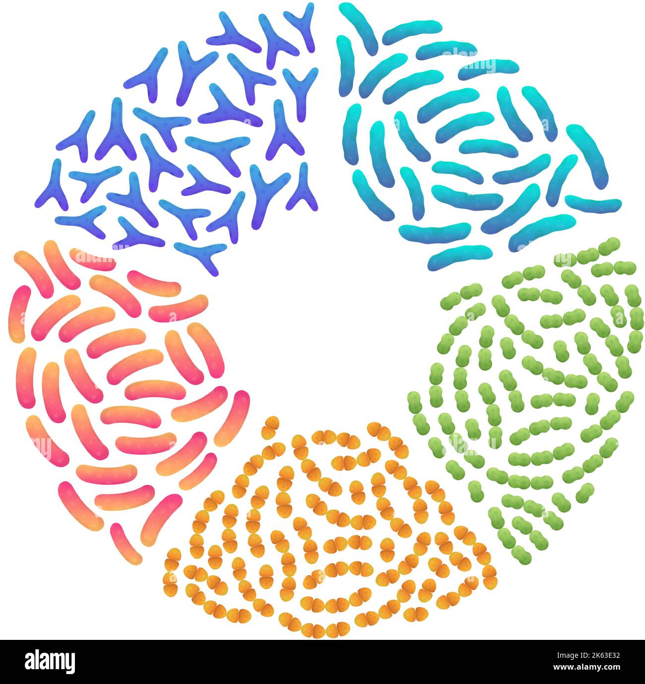 Probiotika. Gute Bakterien und Mikroorganismen. Bifidobacterium