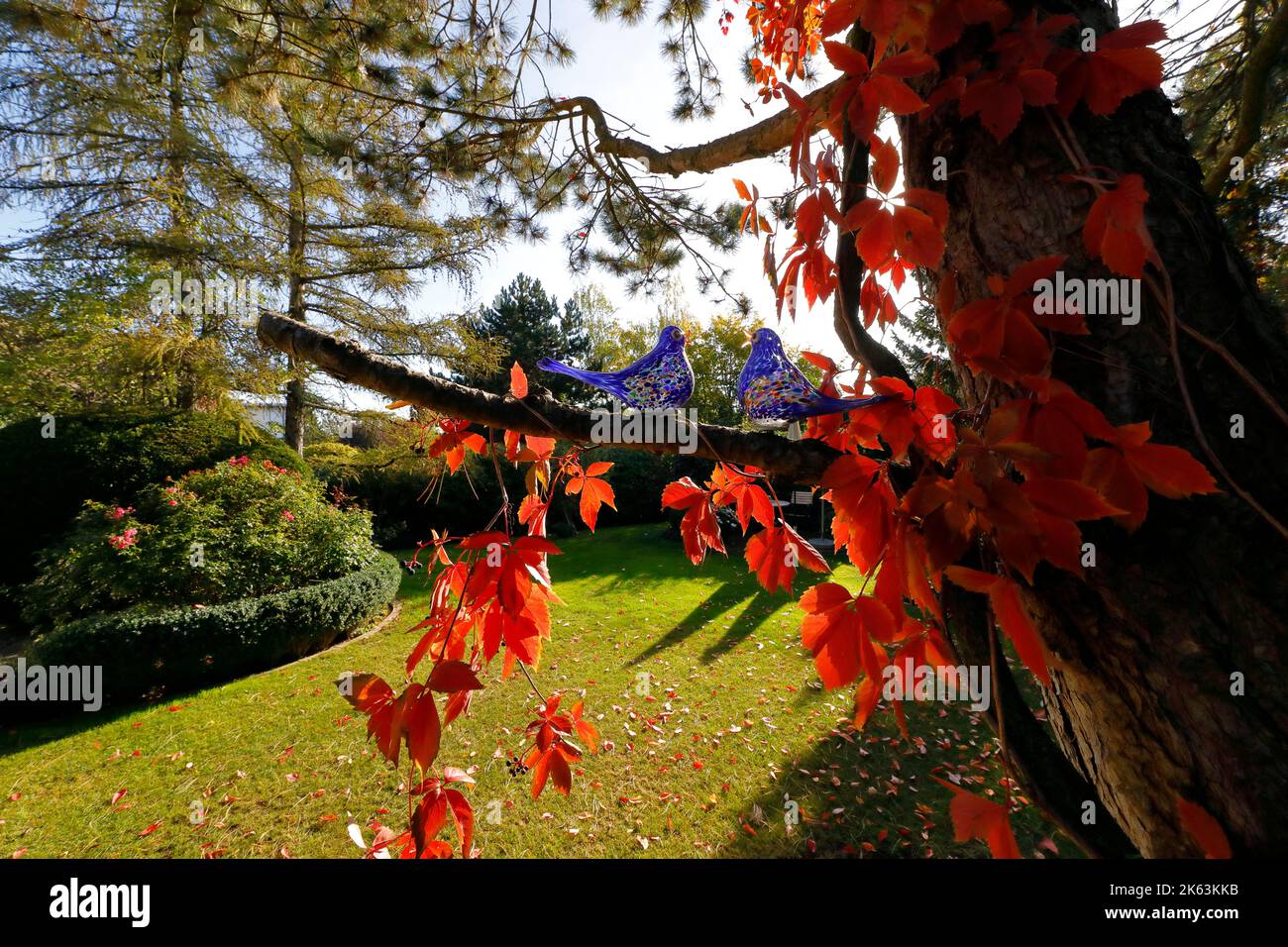 Herbst im Garten Stockfoto