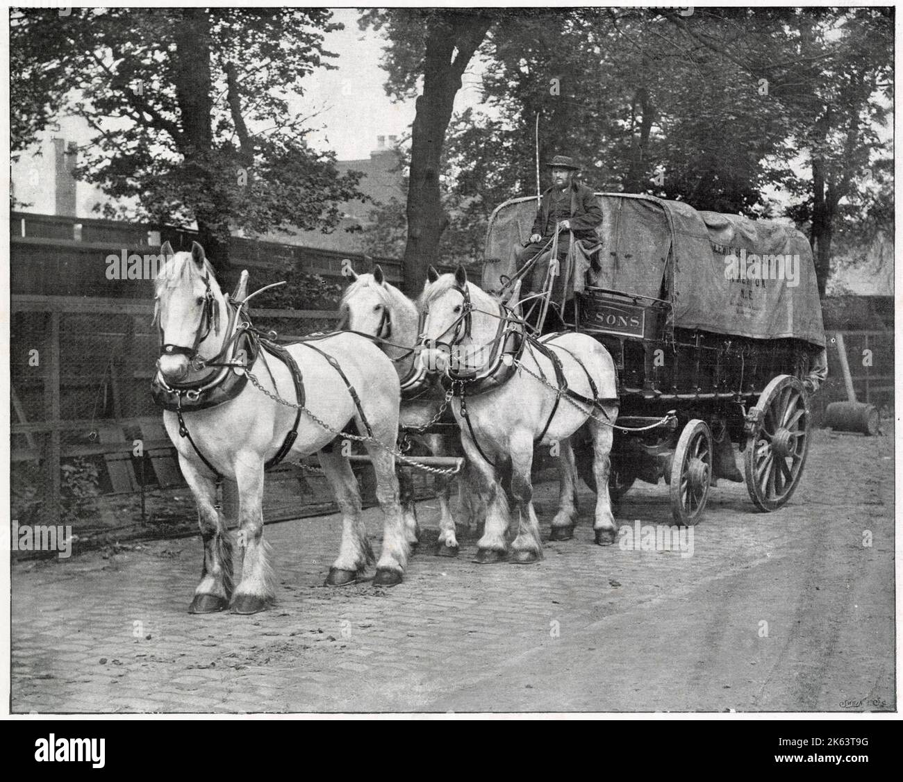Berger und Söhne von Homerton, London, zeigen ihr Transportmittel, Pferd und Wagen im Handel in den Straßen von East London. Stockfoto