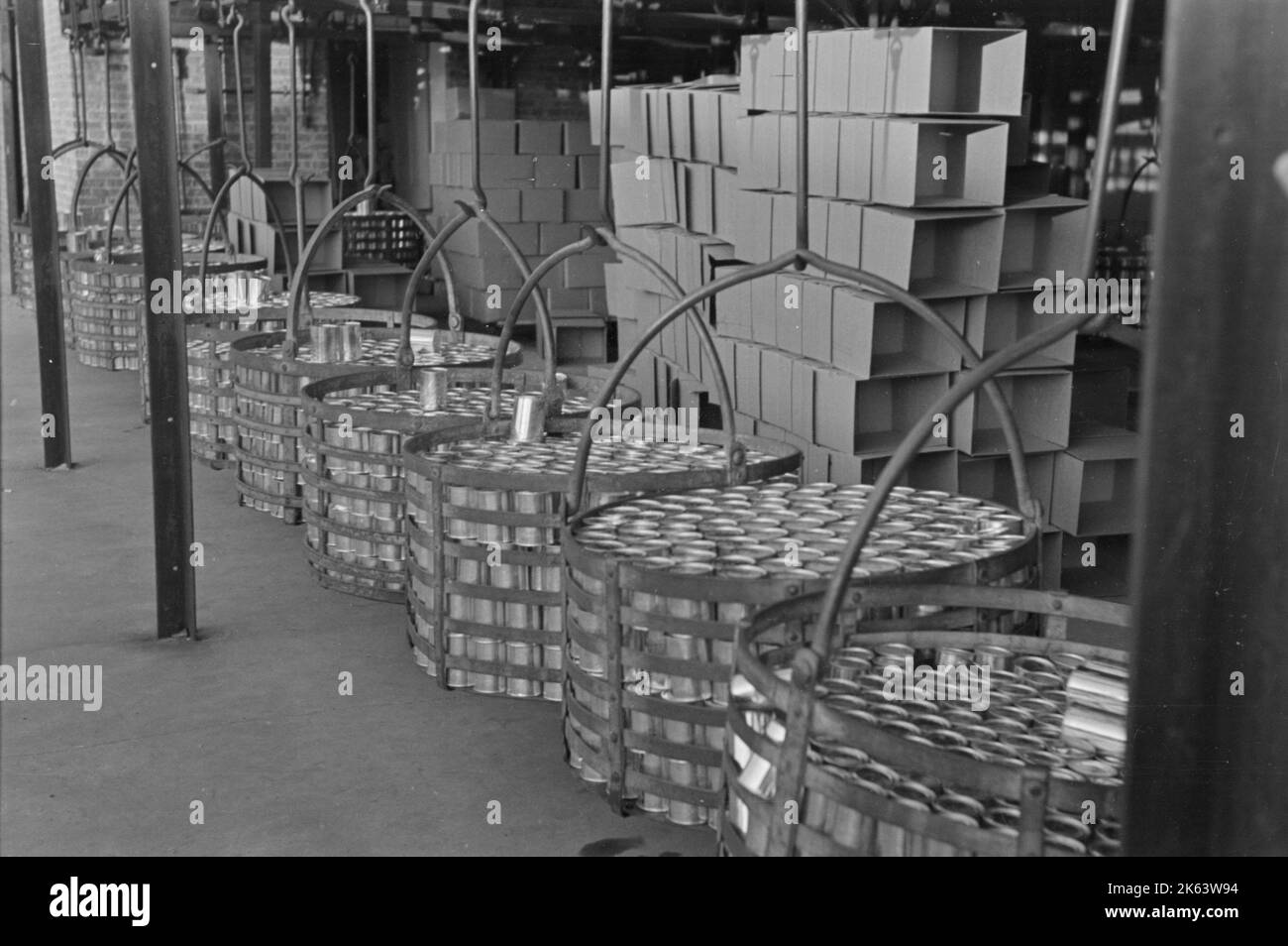 Racks voller Erbsen auf dem Weg zum Etikettierraum und Lagerhaus, zur Konservenfabrik in Sun-Wiese, Wisconsin. Datum: 1937. Juni. Stockfoto