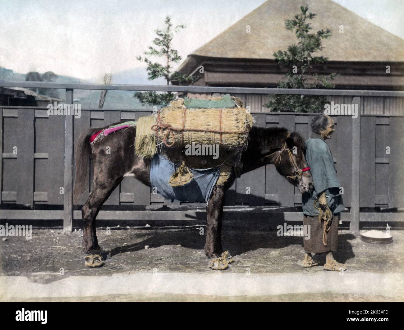 Packpferd, Japan, um 1880s. Datum: Ca. 1880s Stockfoto