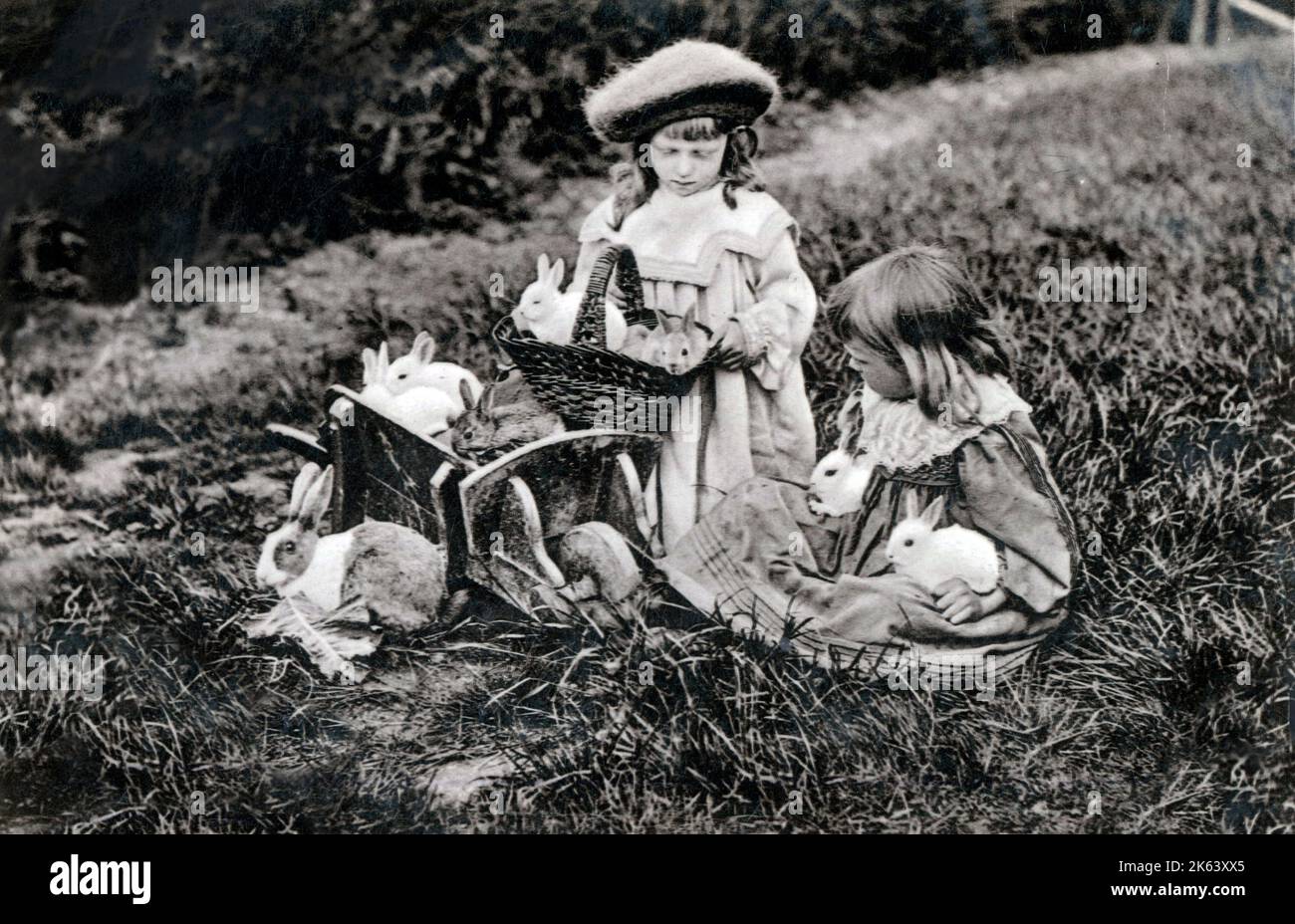 Eine große Familie - zwei junge Mädchen und eine Vielzahl von Tierhasen... Datum: Ca. 1907 Stockfoto