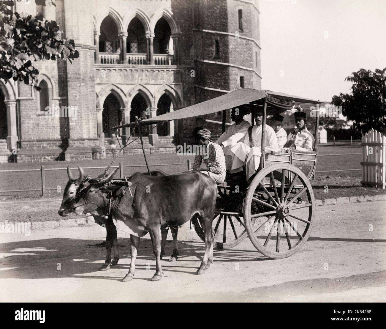 Kutsche gezogen von Ochsen, Gharry oder Gharrie, Indien. Vintage 19. Jahrhundert Foto Stockfoto