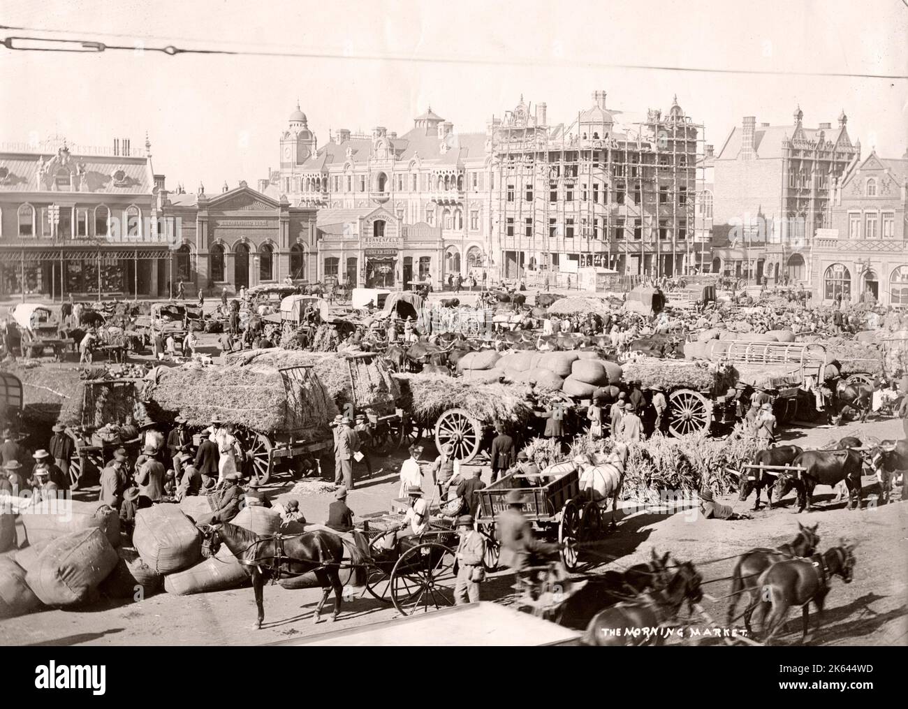 Morgenmarkt, Johannesburg, Südafrika, c,1900 Stockfoto
