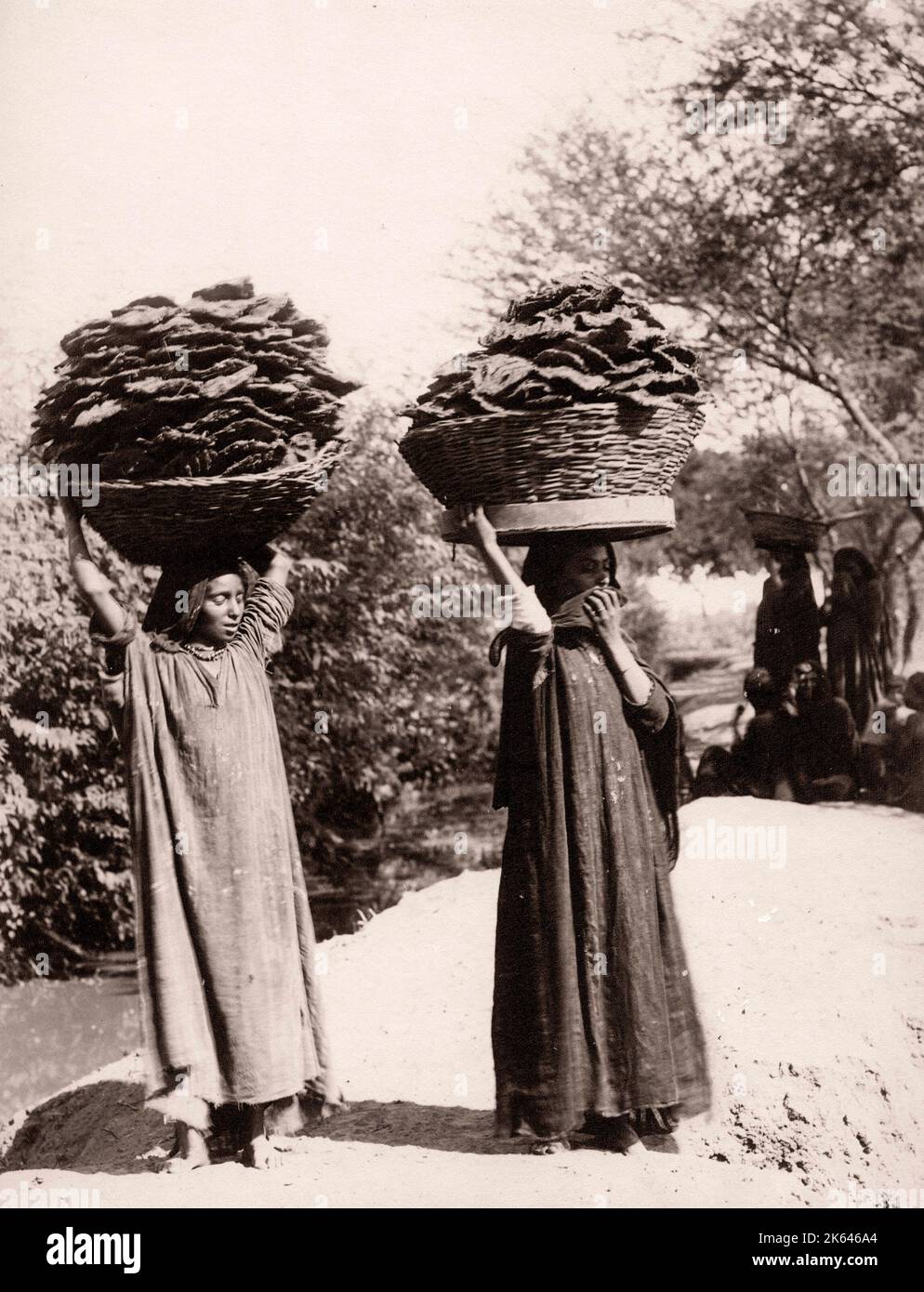 Frauen, die getrockneten Dünger für Brennstoff, Indien, Ende 19th Jahrhundert Stockfoto