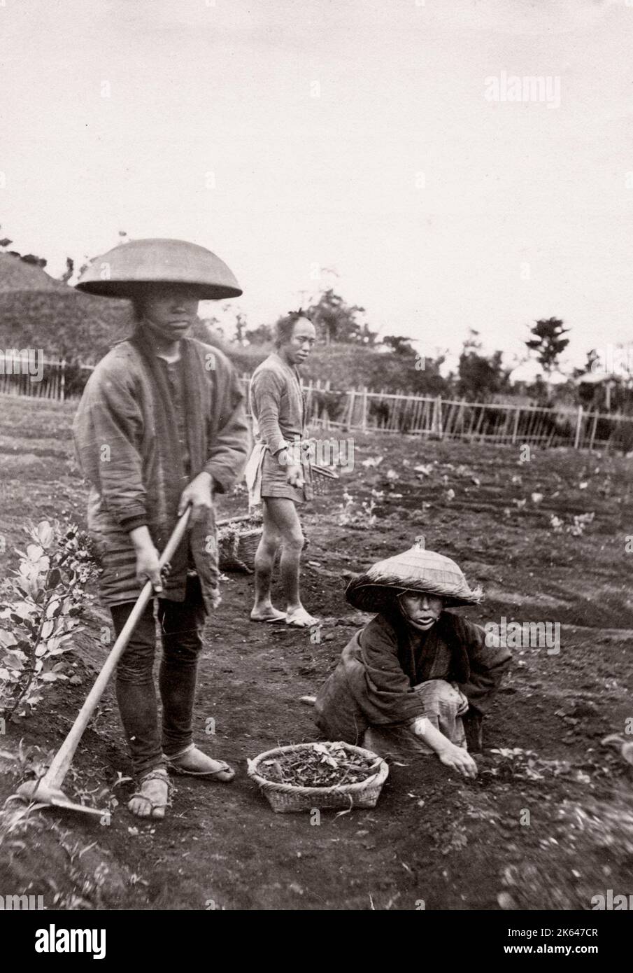 Japan aus den 1870er Jahren - japanische Gärtner oder Landarbeiter - aus dem Magazin „The Far East“ Stockfoto