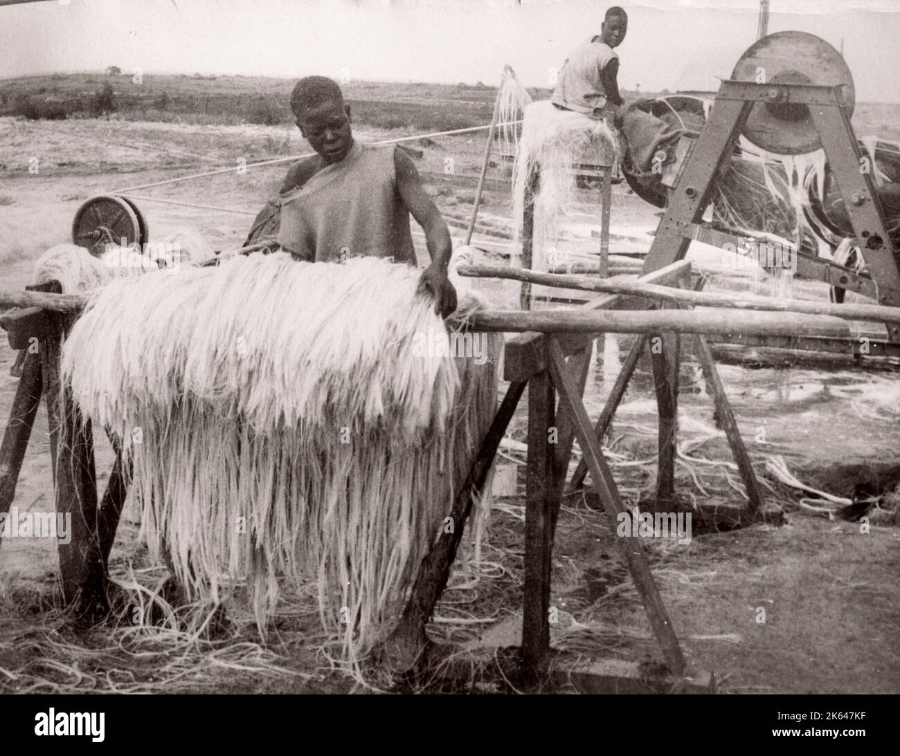 1940s Ostafrika - verarbeitende Industrie - Sisal, Kenia fotografieren von einem britischen Armeeanwärter, der während des Zweiten Weltkriegs in Ostafrika und dem Nahen Osten stationiert war Stockfoto