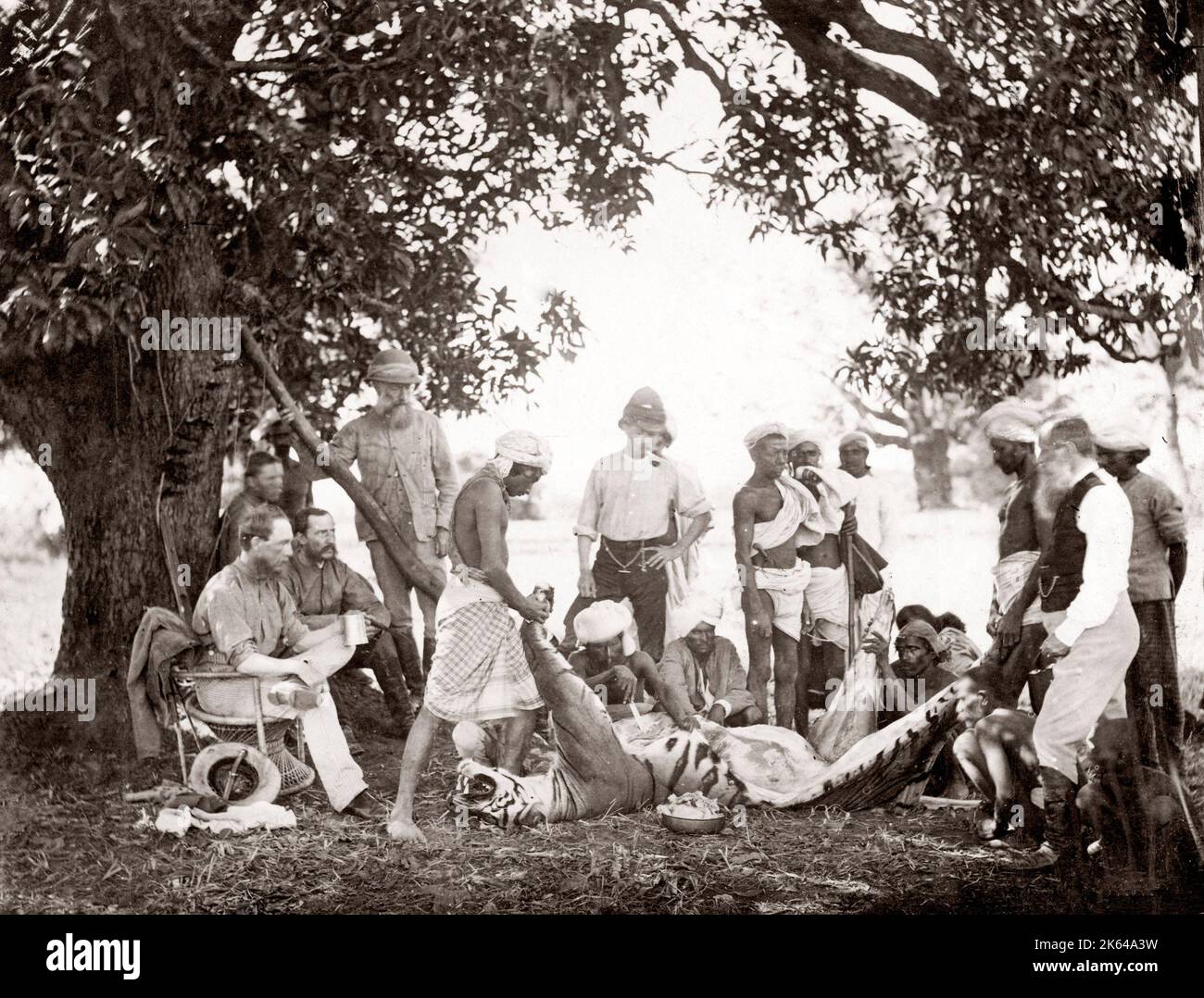 Tiger Hunt Serie von Colonel Willoughby Wallace Hooper, 1837-1912, fotografiert in den 1870er Jahren. Eines von 10 aufgeführten Bildern. Stockfoto