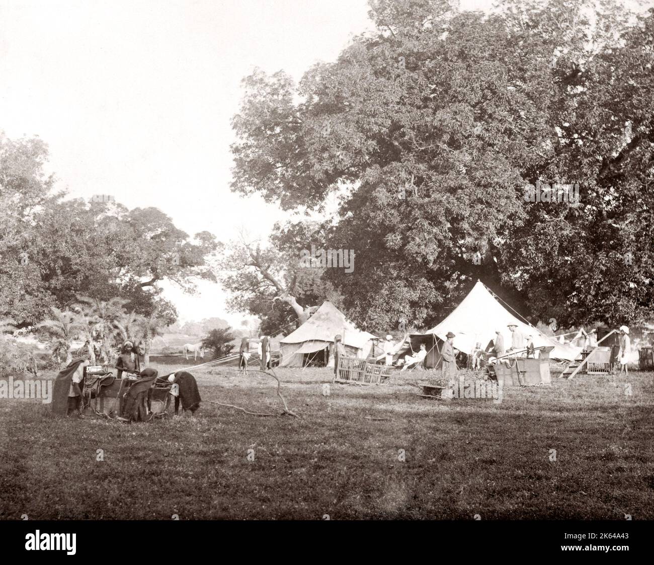 Tiger Hunt Serie von Colonel Willoughby Wallace Hooper, 1837-1912, fotografiert in den 1870er Jahren. Eines von 10 aufgeführten Bildern. Stockfoto