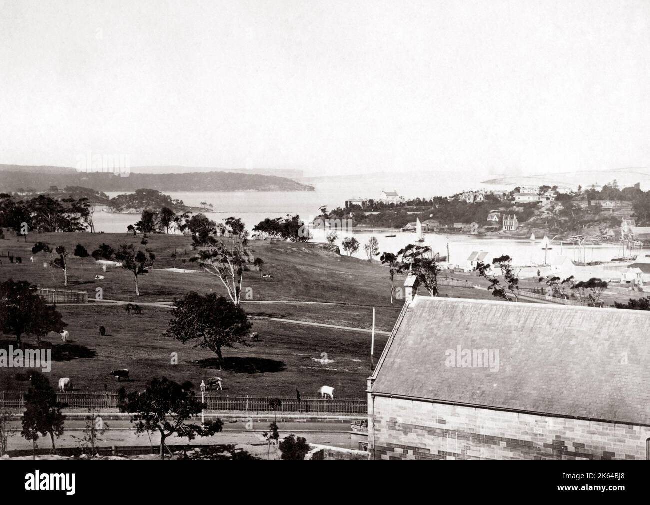 Sydney Harbour, zeigt die Köpfe, New South Wales, Australien, c 1880 Stockfoto