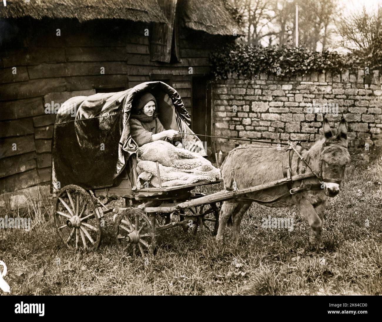 Frau mit ihren Eselskarren, vintage Foto, möglicherweise in Irland, c 1920 s Stockfoto