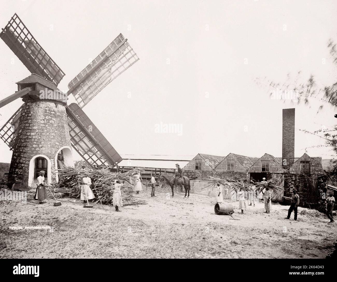 Vintage 19. Jahrhundert Foto: Zuckerfabrik, Windmühle, Barbados, Westindien, Werke und Mann auf einem Pferd, Stapel von Zuckerrohr. Stockfoto