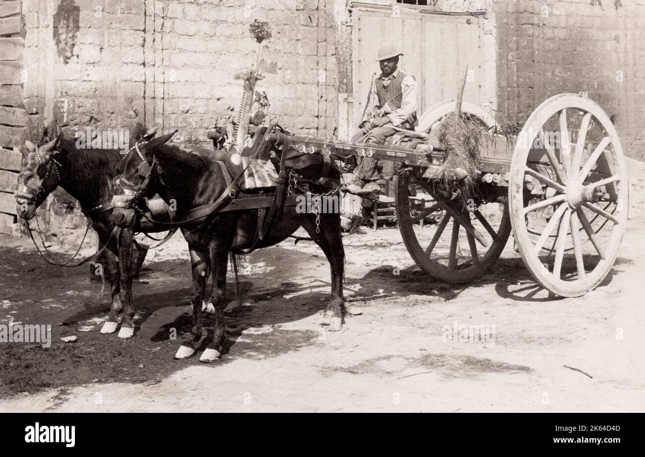 Vintage 19. Jahrhundert Foto: Bauern Wagen gezogen von einem Paar Pferde, Süditalien. Sommer Studio. Stockfoto
