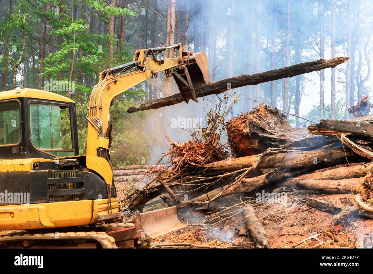 Die Verbrennung entwurzelter Bäume als Teil des Prozesses zur Vorbereitung von Land für Bauhäuser Stockfoto