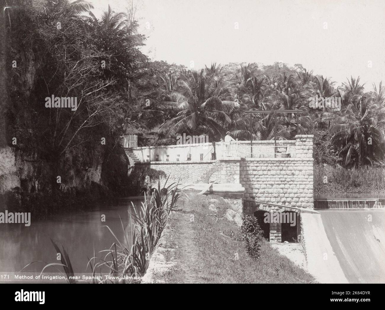 Ende 19th Jahrhundert Foto: Landwirtschaft, Bewässerung, Spanish Town Jamaica Stockfoto