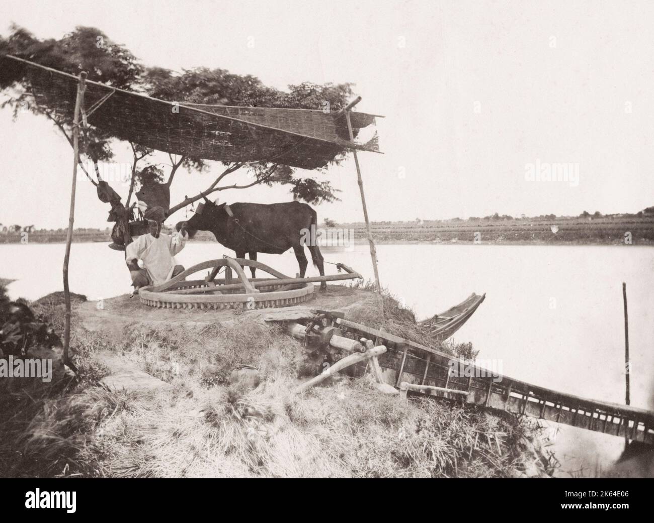 Vintage 19. Jahrhundert Foto: Sakkieh oder Ochse angetrieben Wasserrad für Reizung, landwirtschaftliche Nutzpflanzen, Landwirtschaft, Ägypten verwendet. Stockfoto