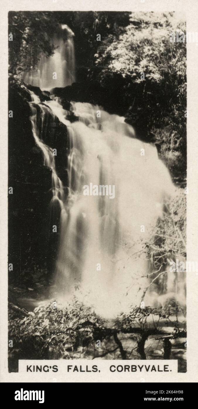 Neuseeland - King's Falls, Corbyvale an der Westküste der Südinsel. Stockfoto