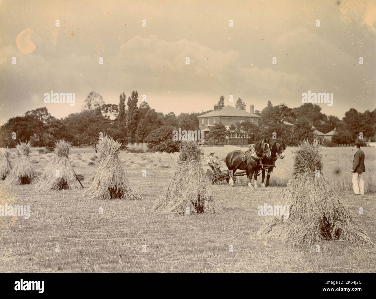 Erntedanklage auf einer Cheshire-Farm Stockfoto