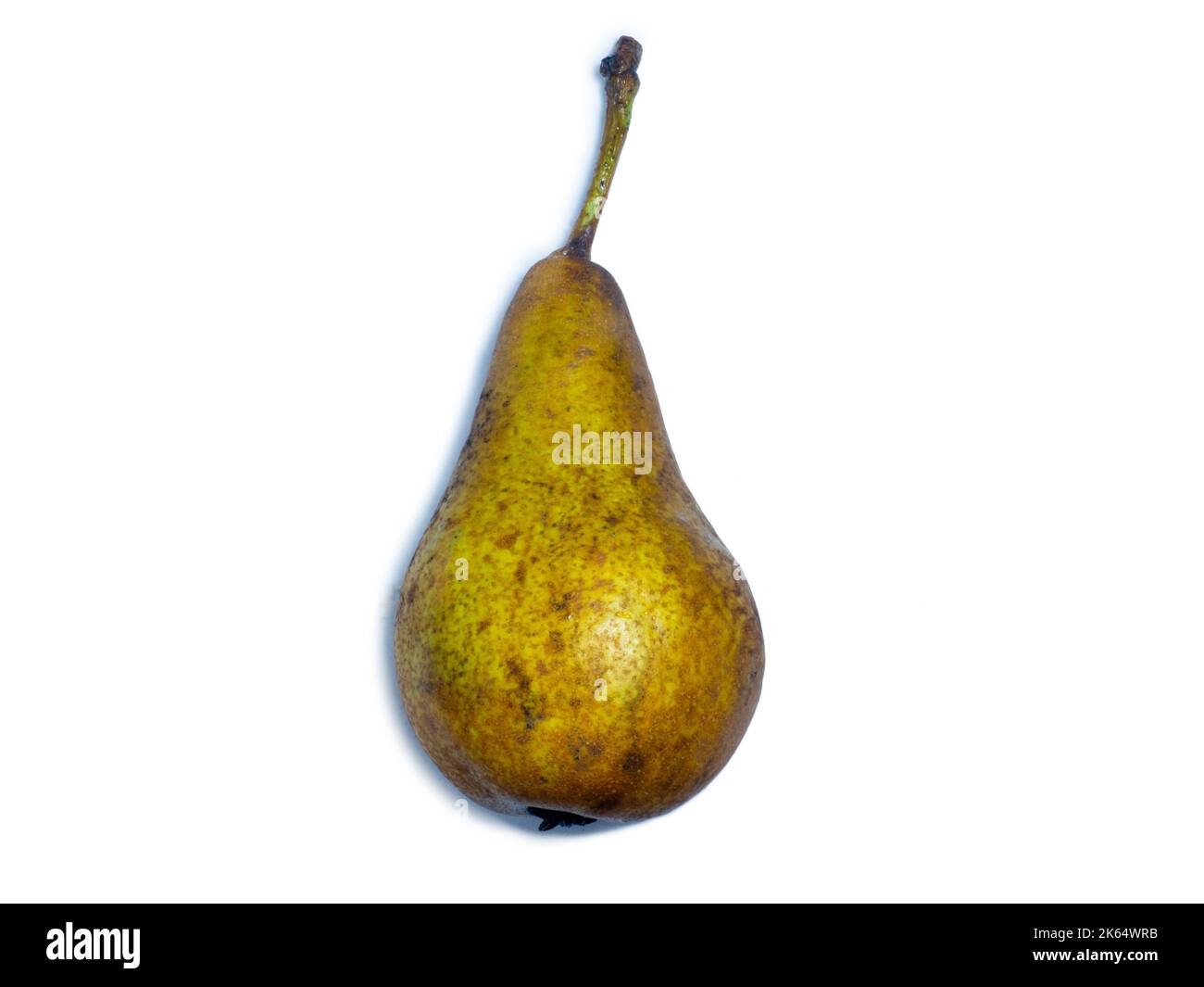 Birne auf weißem Hintergrund. Eine der Sorten von Birne. Südliche Früchte. Plantagenernte. Aus dem Garten. Gelbe Birne isolieren Stockfoto