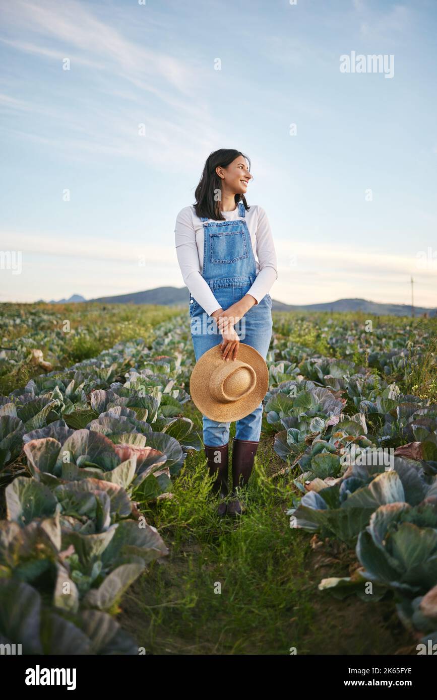 Bäuerin, die auf einem Kohlfeld auf einem Bauernhof steht. Junge Brünette Weibchen mit einem Strohhut und Gummistiefeln, die über ein Feld von Bio-Gemüse schauen Stockfoto
