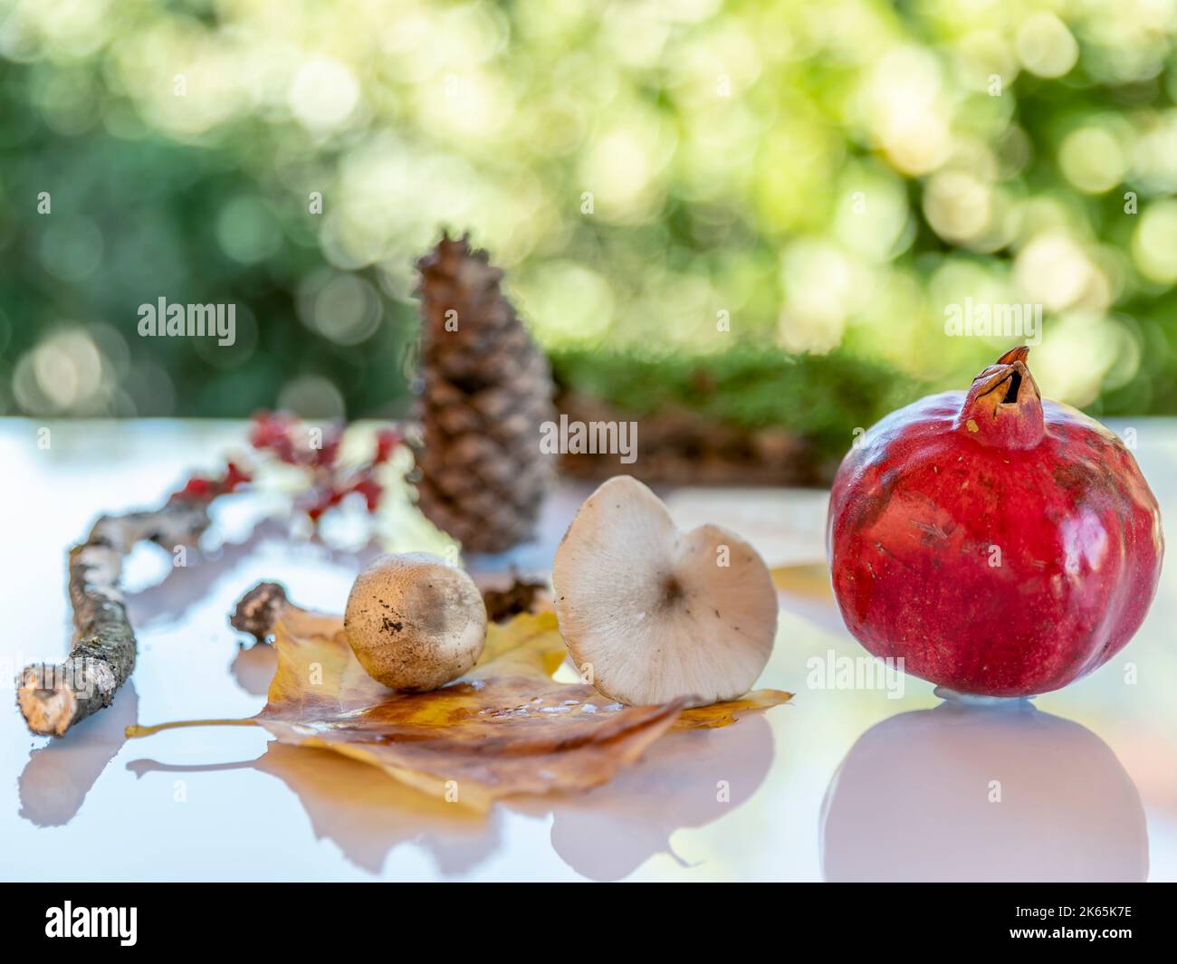 Zusammensetzung aus weißen Pilzen und roten Granatäpfeln mit Kiefernkegel und Herbstblättern auf grünem Bokeh-Hintergrund Stockfoto
