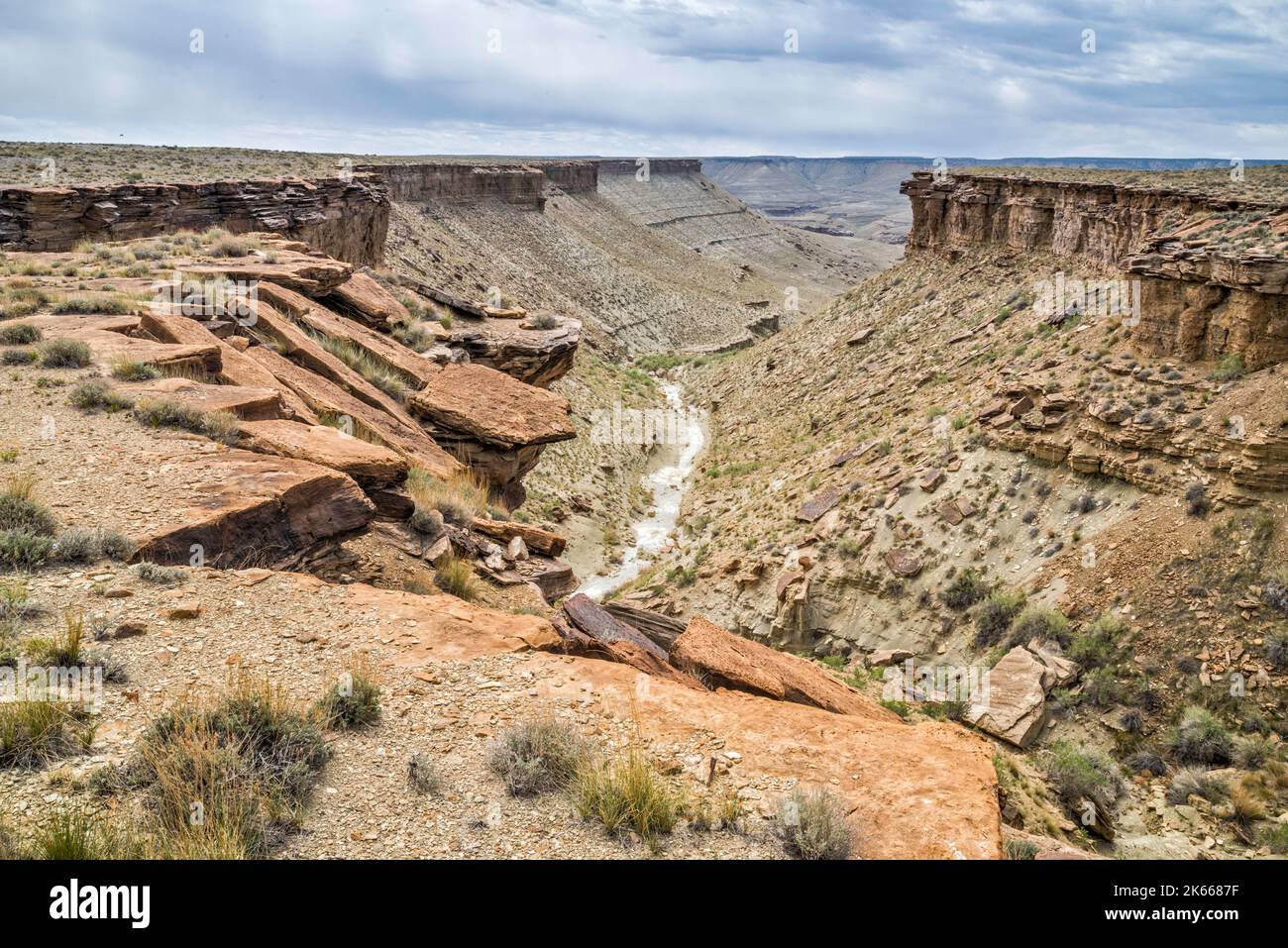 Schlucht im Gebiet des North Franks Canyon, der zum Nine Mile Canyon führt, Blick von der Wrinkle Road, West Tavaputs Plateau, Utah, USA Stockfoto