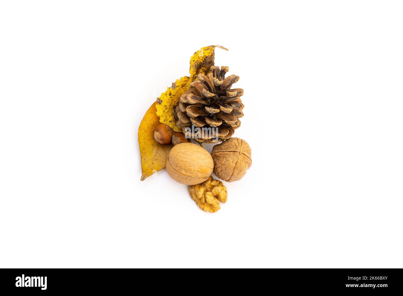 Herbstschmuck, Walnüsse, Eichel, Tannenzapfen und Blätter, weißer Backgroiund Stockfoto
