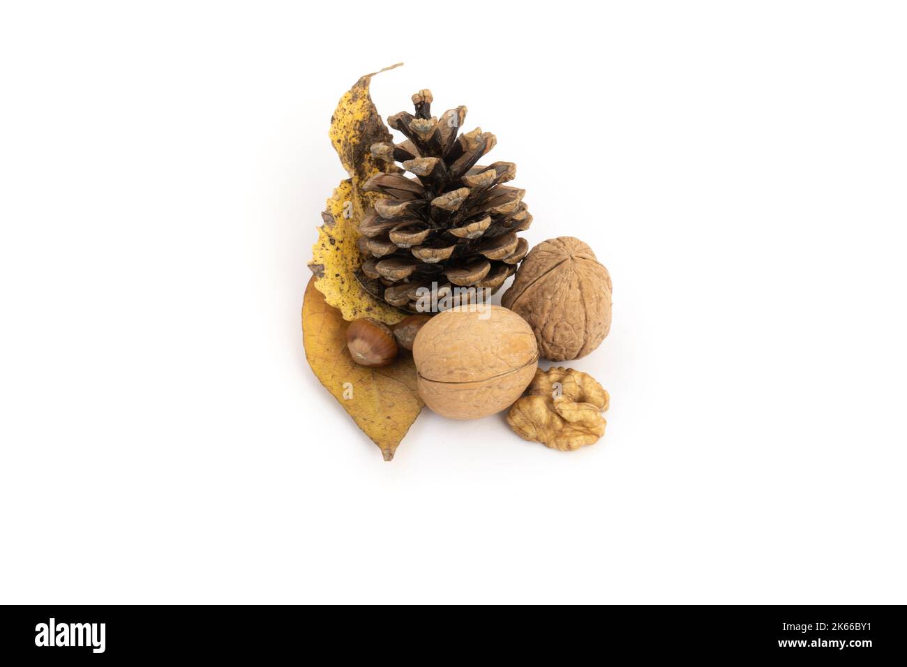 Herbstschmuck, Walnüsse, Eichel, Tannenzapfen und Blätter, weißer Backgroiund Stockfoto