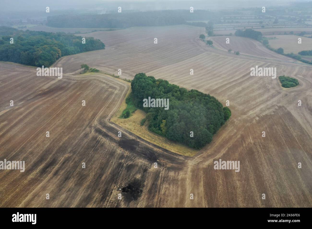 Islandisierung, Waldinsel inmitten von Feldern ohne direkte Verbindung zu intakten Lebensräumen, Deutschland, Schleswig-Holstein Stockfoto